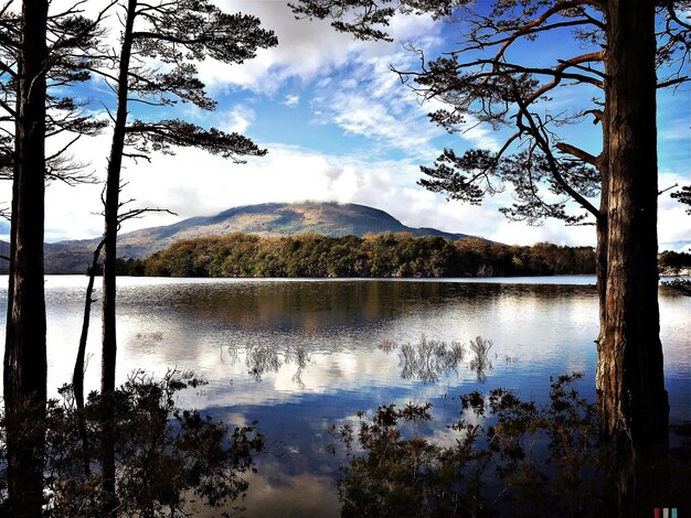 Foto reflexión de los árboles en el lago