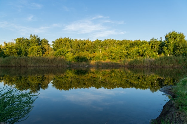 Reflexión del bosque y el cielo en un río tranquilo a principios de otoño en un día soleado al atardecer.