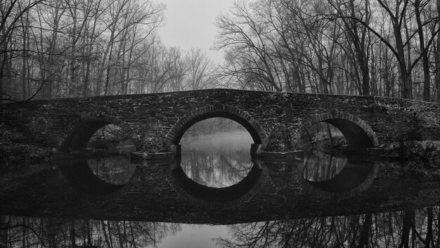 Foto reflexión del cielo en el agua