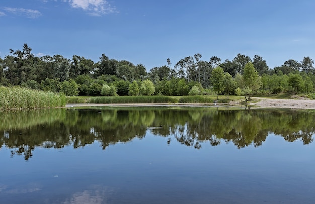 Reflexión en el lago