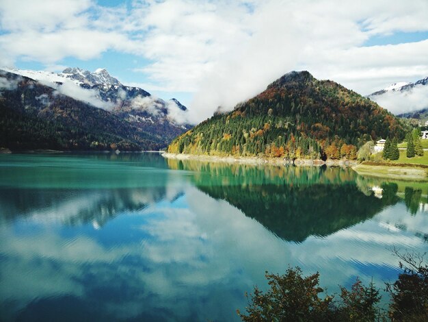 Foto reflexión de las plantas en un lago tranquilo