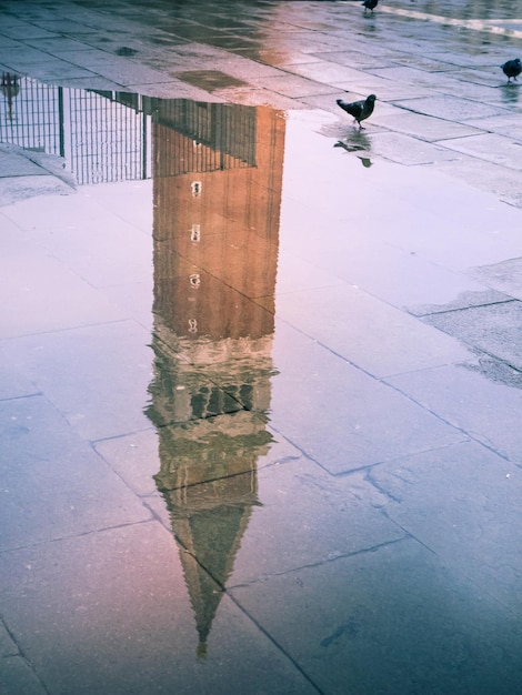 Reflexión sobre un charco del campanario de la iglesia de San Marco Campanille Venecia Italia con palomas