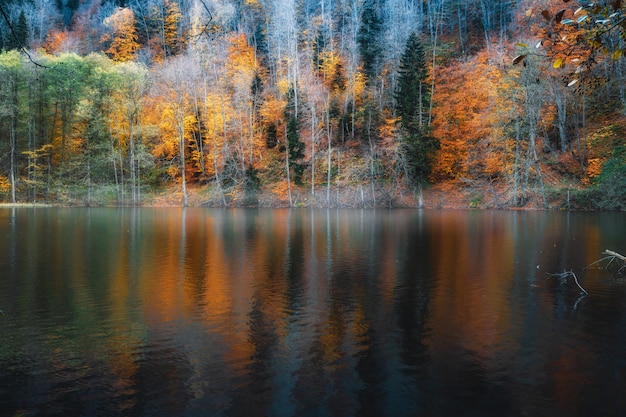 Reflexión sobre el lago Bateti, Georgia