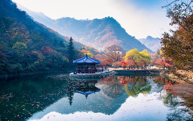 Reflexión de la temporada de otoño en el parque nacional de Naejangsan, Corea del Sur.