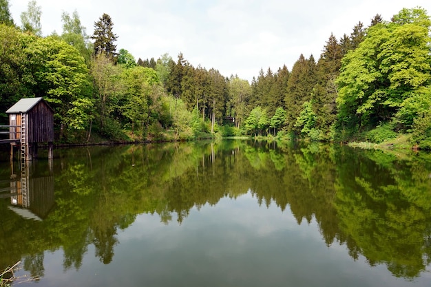 Reflexion von Bäumen auf dem Wasser