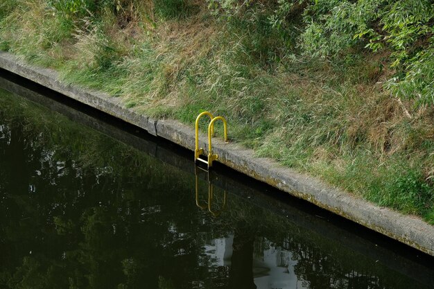 Reflexion von Bäumen auf dem Wasser