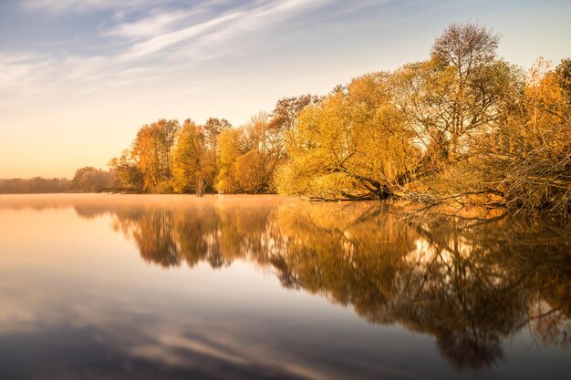 Foto reflexion von bäumen im see gegen den himmel bei sonnenuntergang