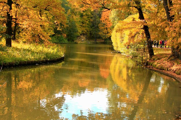 Foto reflexion von bäumen im see im herbst