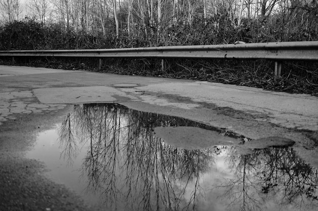 Foto reflexion von bäumen im see im winter