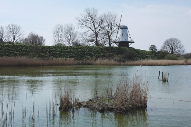 Foto reflexion von bäumen im see