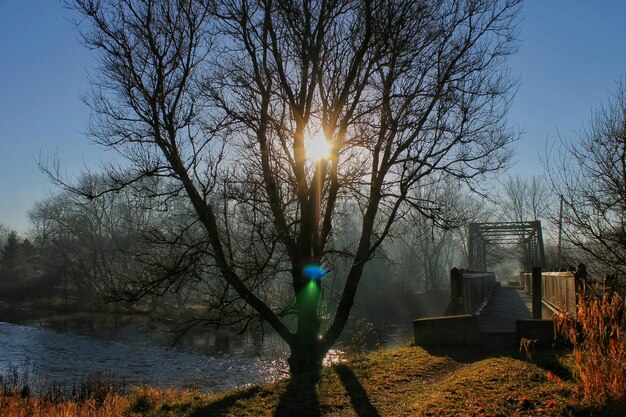 Foto reflexion von bäumen im see