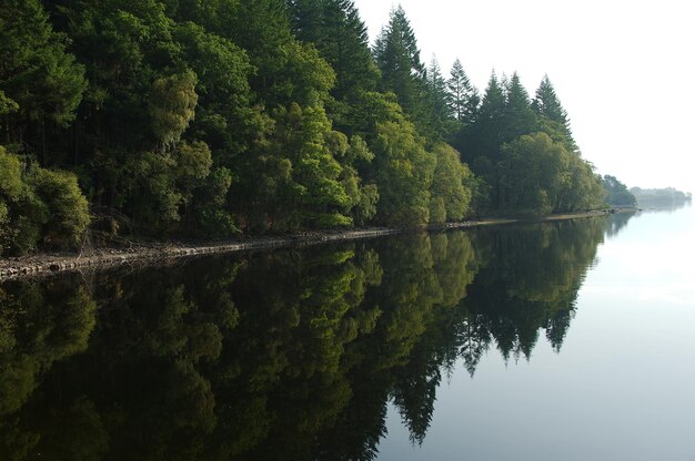 Foto reflexion von bäumen im see