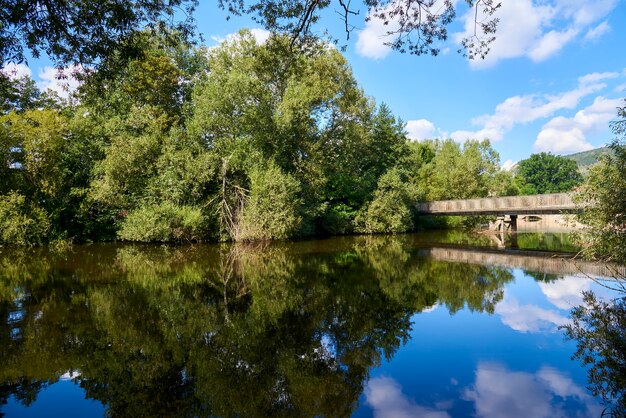 Reflexion von Bäumen im Wasser an einem sonnigen Tag