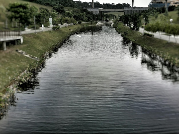 Foto reflexion von bäumen im wasser