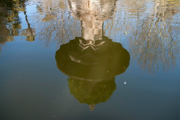 Foto reflexion von bäumen im wasser