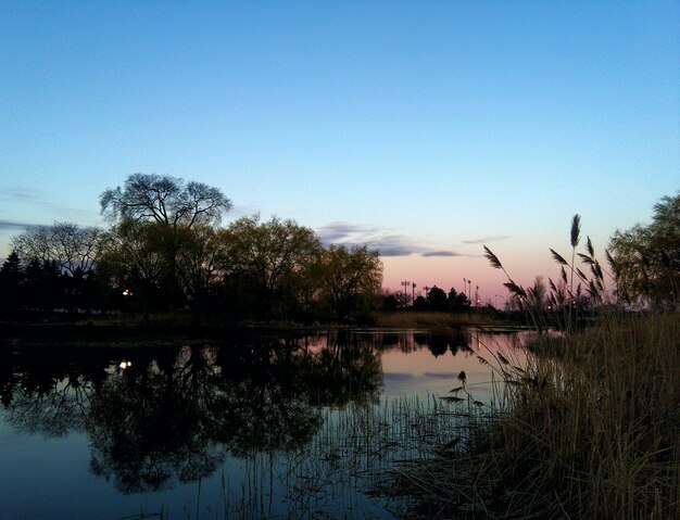 Foto reflexion von bäumen im wasser