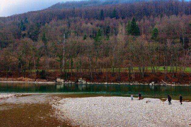 Reflexion von Bäumen im Wasser