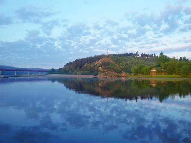 Foto reflexion von bäumen im wasser