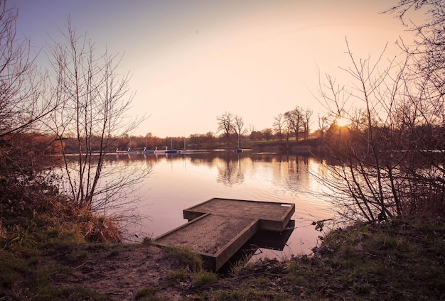 Foto reflexion von bäumen in einem ruhigen see