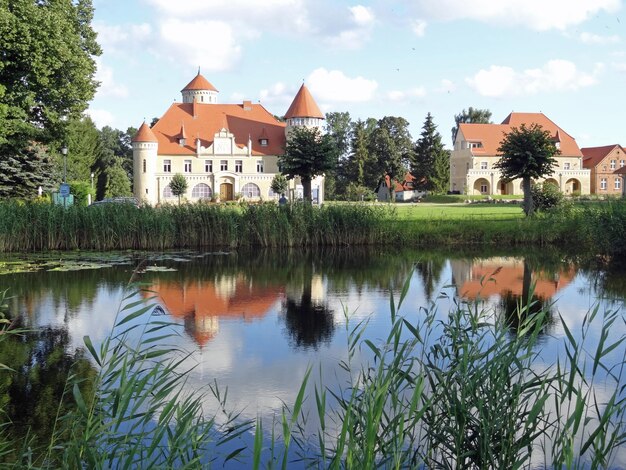 Foto reflexion von bäumen und gebäuden auf dem see