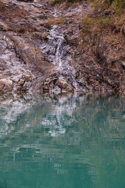 Reflexion von klarem Wasser und Unterwasserlebewesen