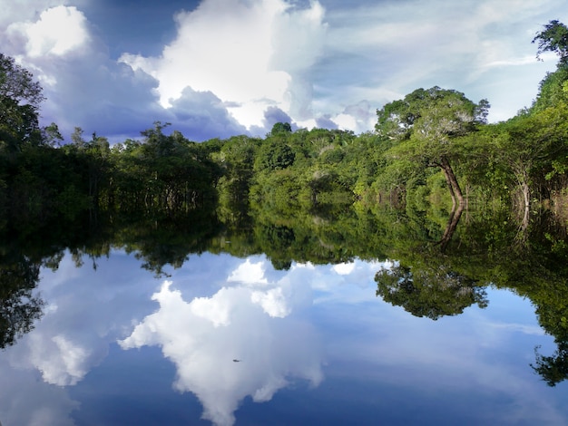 Reflexionen des Amazonas, Brasilien