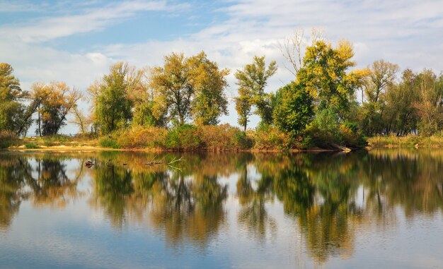 Reflexiones de árboles en el lago en otoño. Hermoso parque