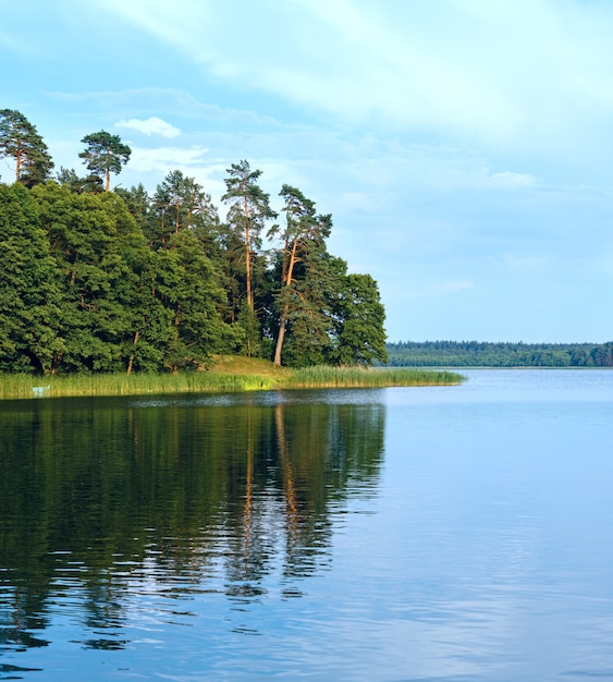 Foto reflexiones sobre un lago salvaje de verano y un bonito bosque de pinos en la costa