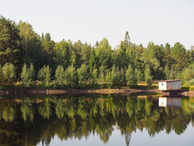 Reflexo da floresta de pinheiros na água Casa velha na costa Sol da manhã Paisagem