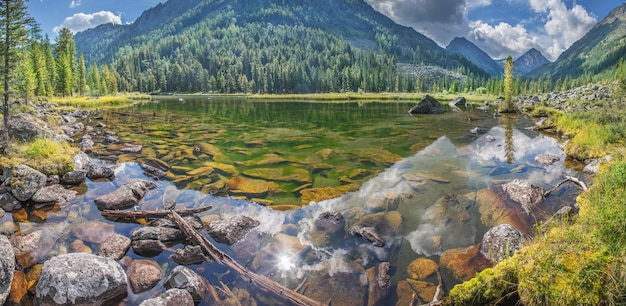 Reflexo da paisagem de verão do lago de montanha selvagem na água