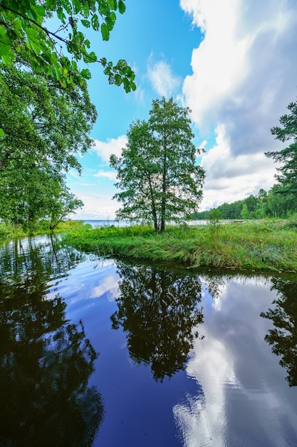 Reflexo das árvores no lago com águas calmas e céu nublado.