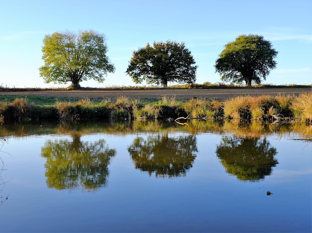 Reflexo das árvores no lago contra o céu