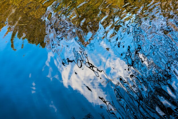 Reflexo de outono de uma árvore no lago