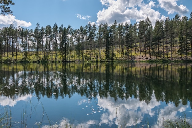 Reflexo do céu e da árvore em área isolada à beira do lago