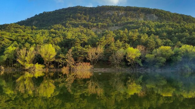 Reflexões da floresta e da montanha na paisagem incrível do céu azul da água do lago