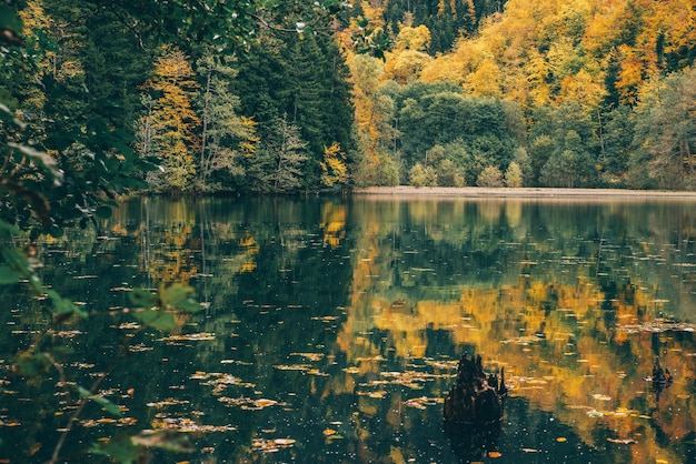 Reflexões de outono no lago