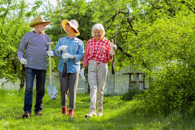 Reformados caminhando. Aposentados radiantes andando com árvores e pás antes de plantá-los perto de casas