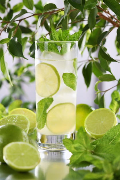 Refrescante cóctel mojito elaborado con blanco de lima fresco combinado con jugo y menta | Foto Premium