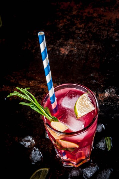 Refresco alcoólico vermelho cranberry e limão coquetel com alecrim e gelo, dois copos, escuro