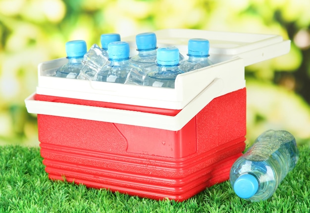 Refrigerador de picnic con botellas de agua y cubitos de hielo sobre hierba