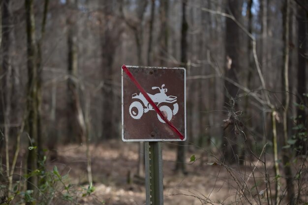 Foto refúgio nacional de vida selvagem de upper ouachita (louisiana, 18 de janeiro de 2022)