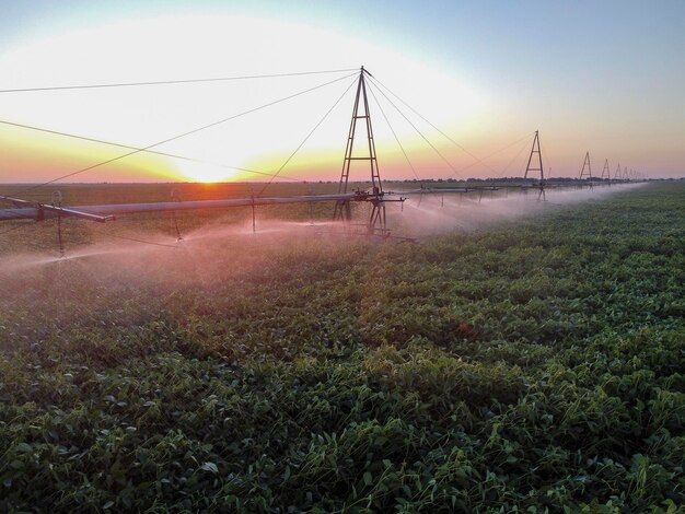 Rega automática da vista superior dos campos ao nascer do sol