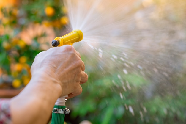 Rega jardim mulheres idosas mão segure spray de água a árvore no parque