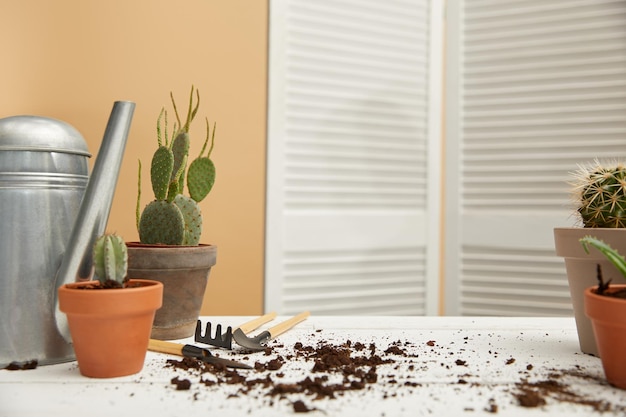 Regadera de cactus y metal sobre superficie blanca con suciedad