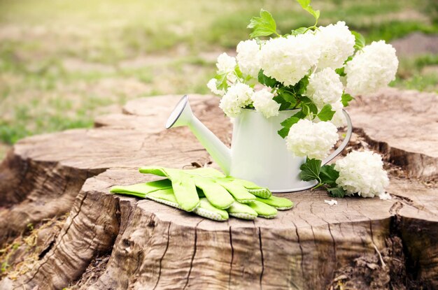 Regadera de jardín con flores de hortensias blancas y guantes de trabajo verdes sobre un viejo tocón de madera