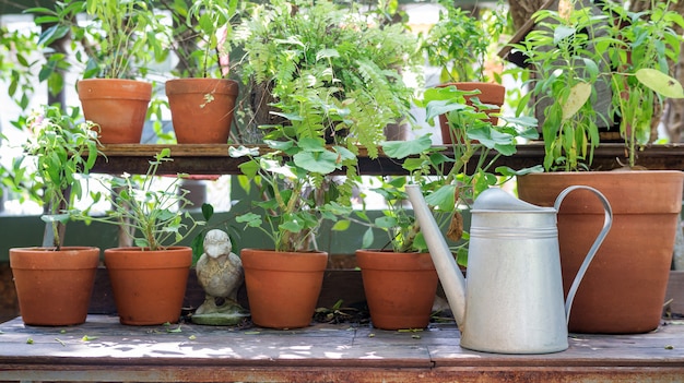 Regadera y una planta en macetas en una mesa de madera.