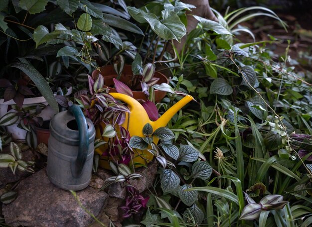 Regaderas en el jardín de invernadero