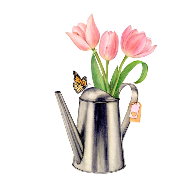 Regador de ferro jardim aquarela com um buquê de tulipas cor de rosa e uma borboleta