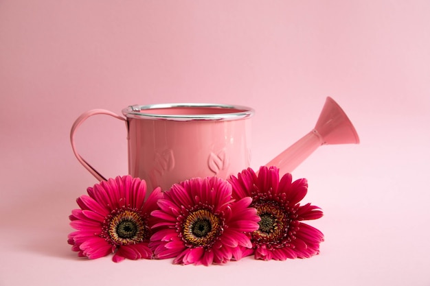 Foto regador rosa vazio com três flores de gerberas vermelhas