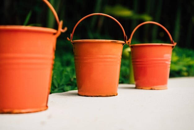 Regadores coloridos para plantas em flores